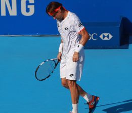 David Ferrer: "La Copa Davis no es mi prioridad ahora mismo"