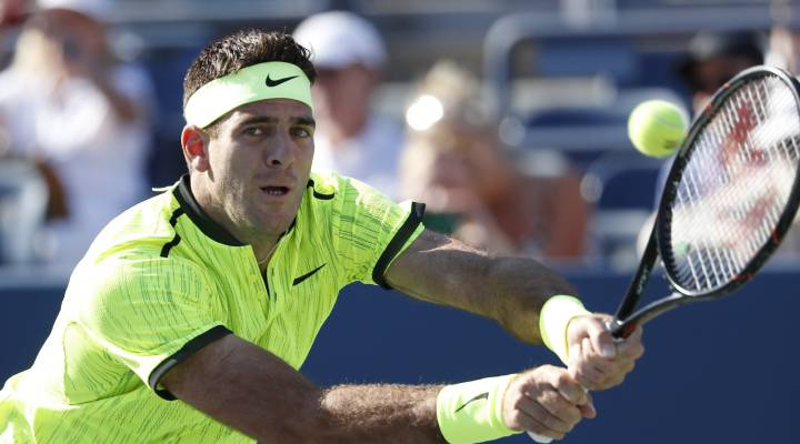 Johnson criticó la wild card a Del Potro... y se medirá a él