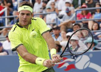 Del Potro pasa a octavos de final tras batir a David Ferrer