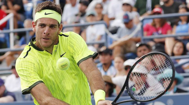 Del Potro pasa a octavos de final tras batir a David Ferrer