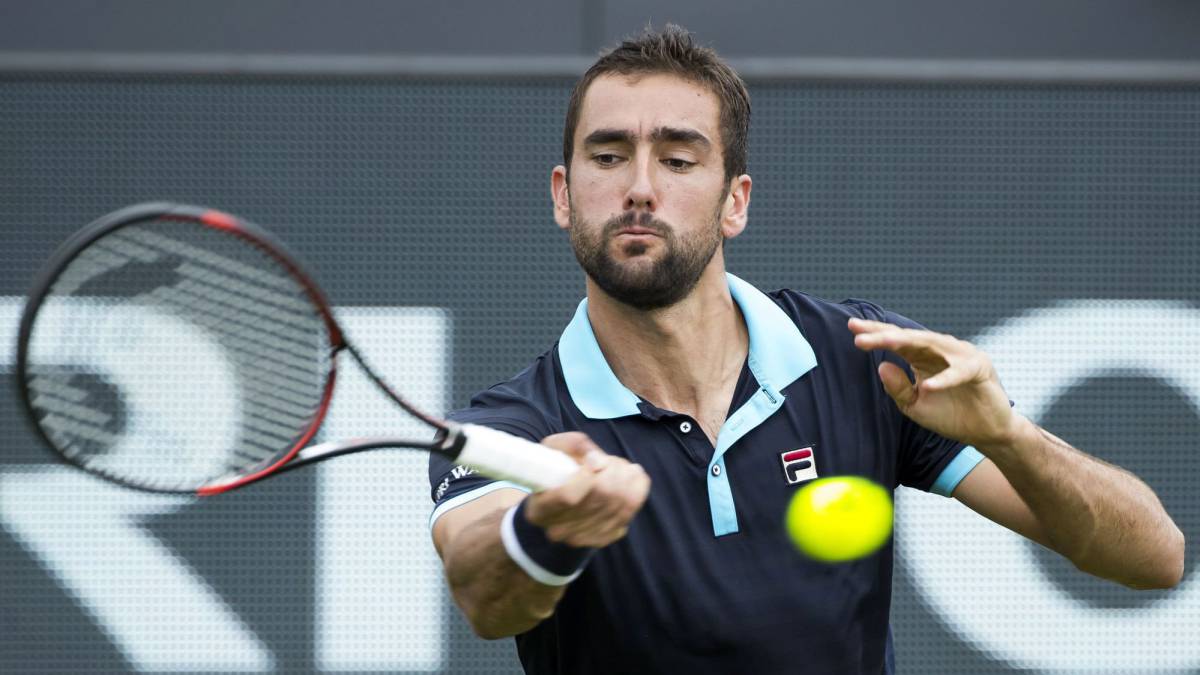 Karlovic y Muller se disputarán el título