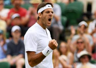 Del Potro y Raonic sudan y Djokovic pasa sin despeinarse