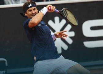 Ferrer gana a Verdasco y jugará la final con Dolgopolov