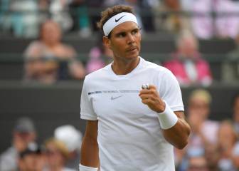 Del Potro y Raonic, en el camino de Nadal hacia el número 1