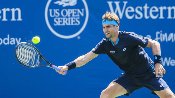 David Ferrer.