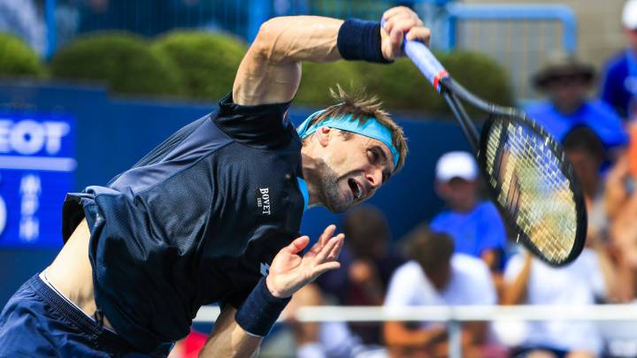 David Ferrer.