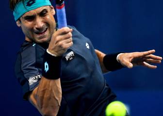 Ferrer avanza en Amberes y Verdasco se verá con Anderson