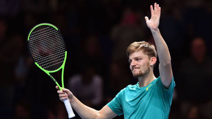 David Goffin.