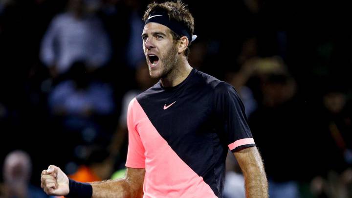 Juan Martin Del Potro celebra su victoria ante Milos Raonic en el Miami Open.