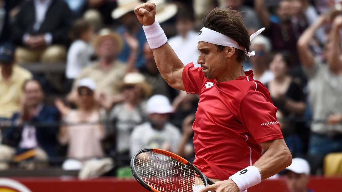 David Ferrer