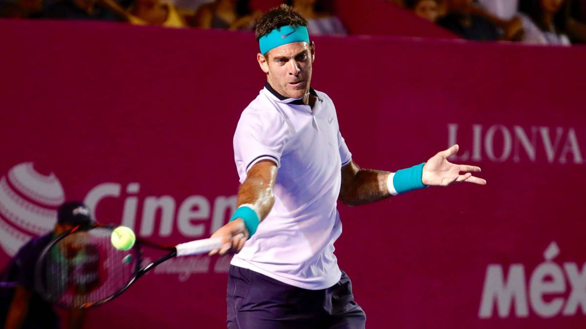 Juan Martín del Potro