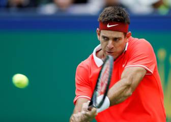 Del Potro no jugará en Australia