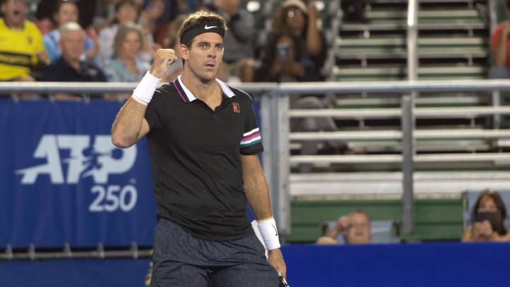 Del Potro vuelve con victoria ante Nishioka en Delray Beach
