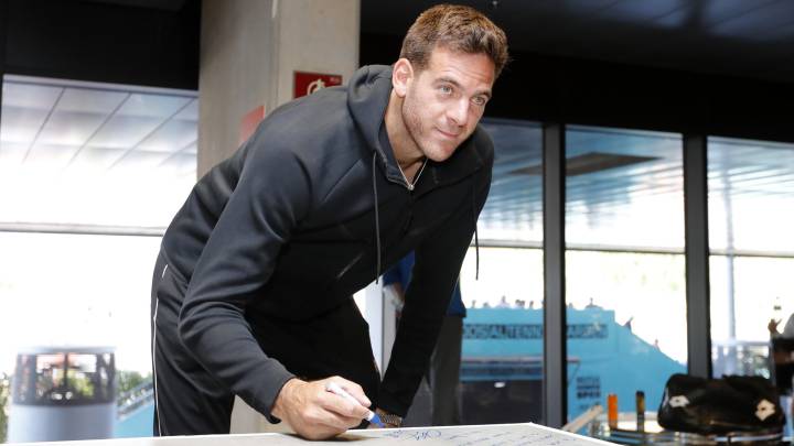 Del Potro: “Piensan que resurgir otra vez es fácil, y no es así”