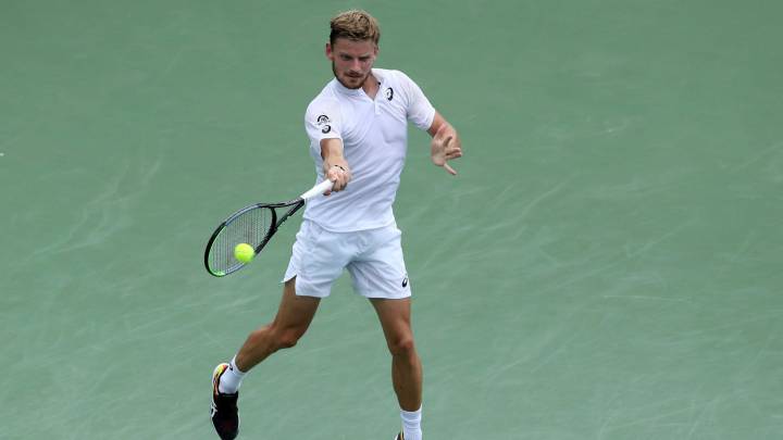 David Goffin Cincinnati 2019