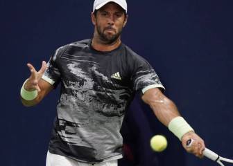 Verdasco saca coraje en Viena y Feliciano dice adiós