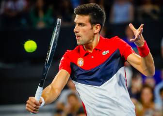 Djokovic, galardonado en Serbia por su contribución al país