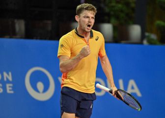 Goffin frena el ascenso de Bautista