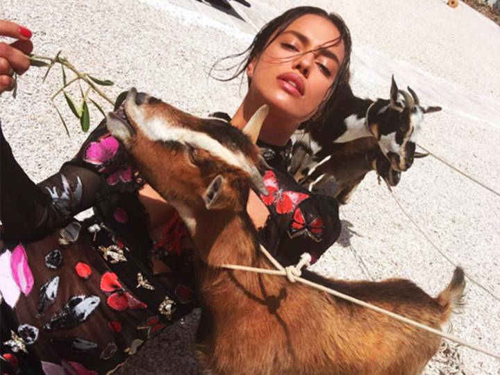 La curiosa forma de Irina Shayk de dar de comer a las cabras