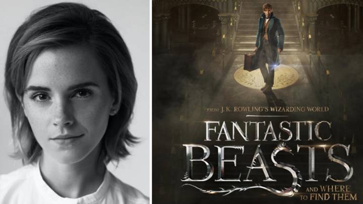 Emma Watson y el cartel de 'Animales fantásticos y dónde encontrarlos". Fotos Twitter.