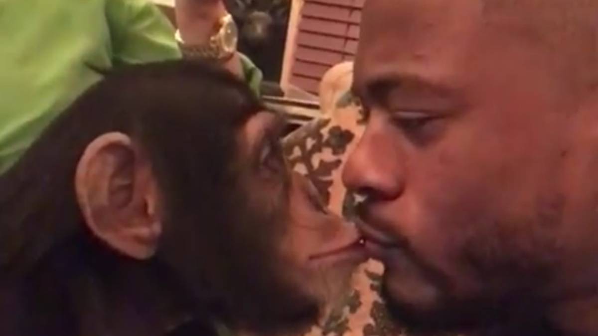 Evra comparte su cita más surrealista: con un chimpancé