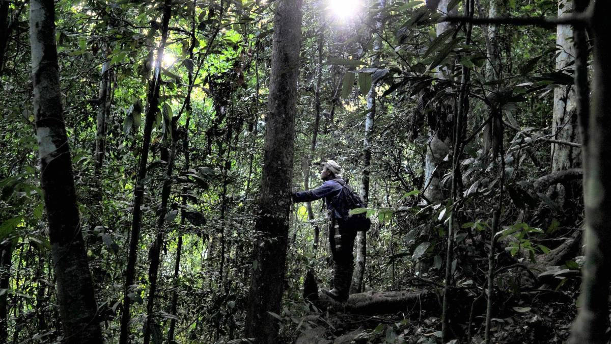 Día Mundial del Medio Ambiente 2017 conecta con la naturaleza