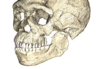 Encuentran en Marruecos los restos más antiguos de homo sapiens