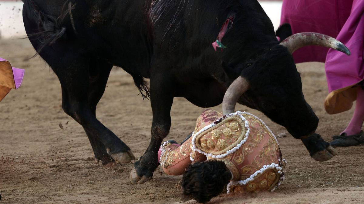 Torero español muere en Francia tras una cornada en un costado