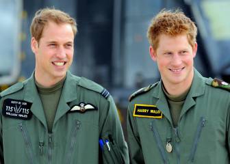 Los príncipes Harry y William, cameos