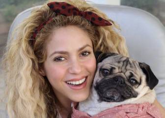 Shakira a Doug the Pug: