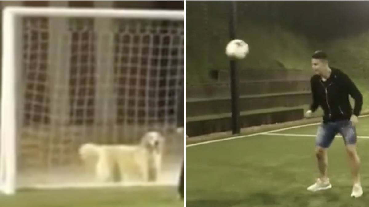 James Rodríguez: su perro Dylan triunfa en las redes como portero. Imagen: Instagram
