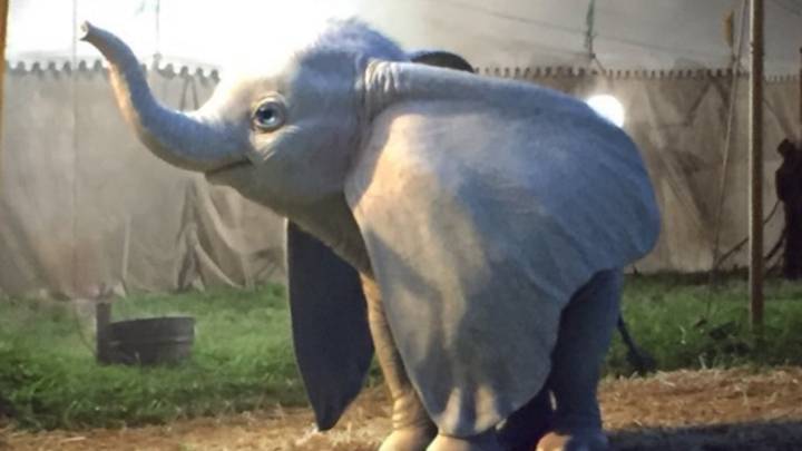 Primera imagen filtrada del nuevo Dumbo de Disney.