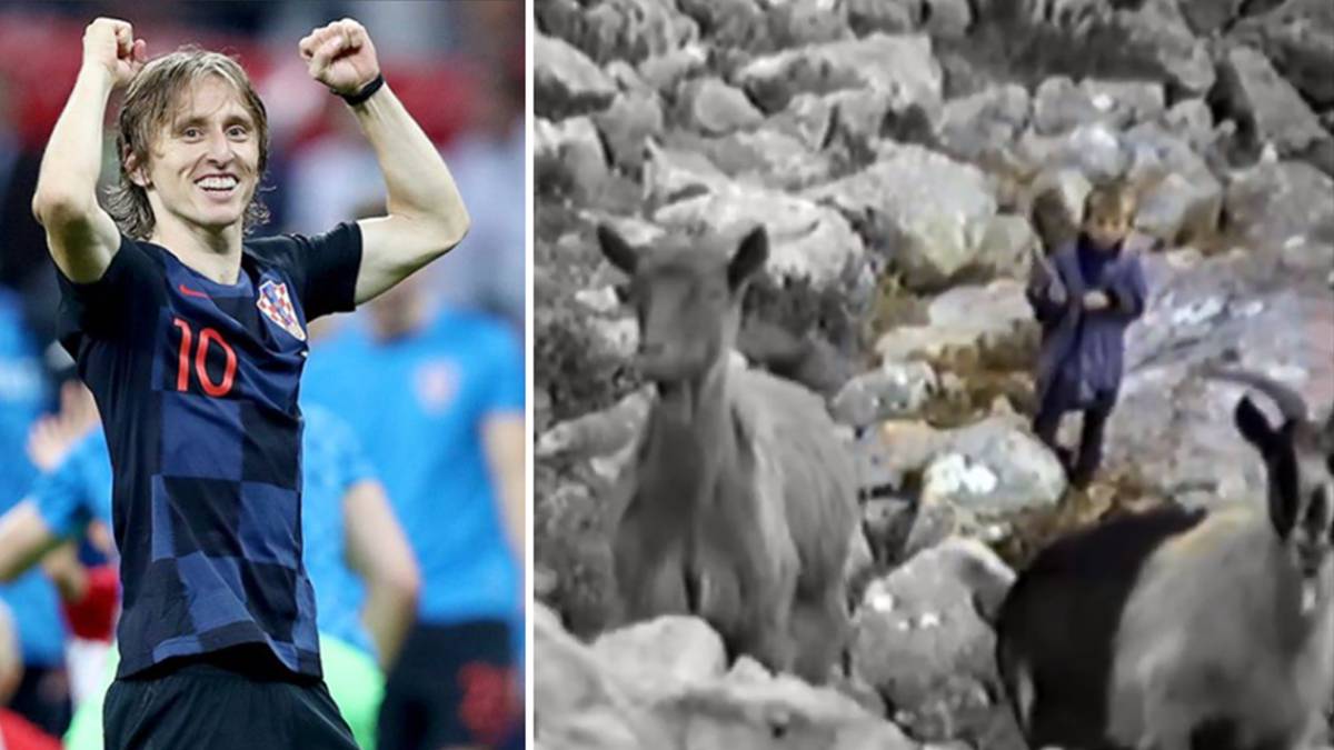 Imágenes de Luka Modric celebrando un triunfo con la selección de Croacia y de un documental sobre lobos en el que aparece con 5 años como pastor