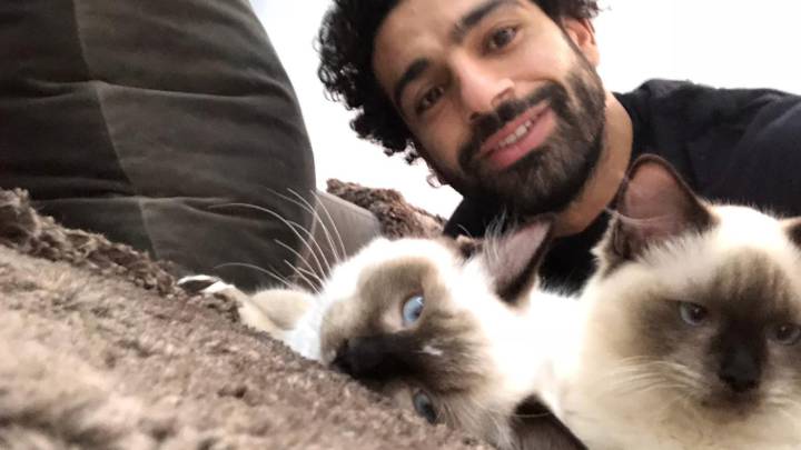 Mohamed Salah junto a sus gatos.