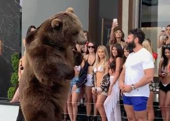 Dan Bilzerian, criticado tras su última excentricidad: dar de comer a un oso