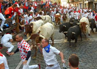 Los cabestros 'Ronaldo' y 'Messi', las estrellas de los sanfermines