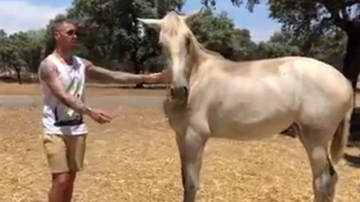 Sergio Ramos en su 'Yeguada SR4' con uno de los caballos. Foto Instagram @sergioramos