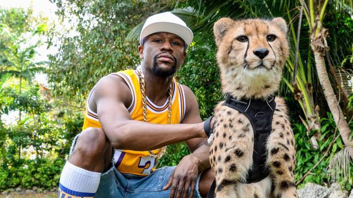 Mayweather contruirá una red de casinos en Japón que promocionará luchando con Pacquiao