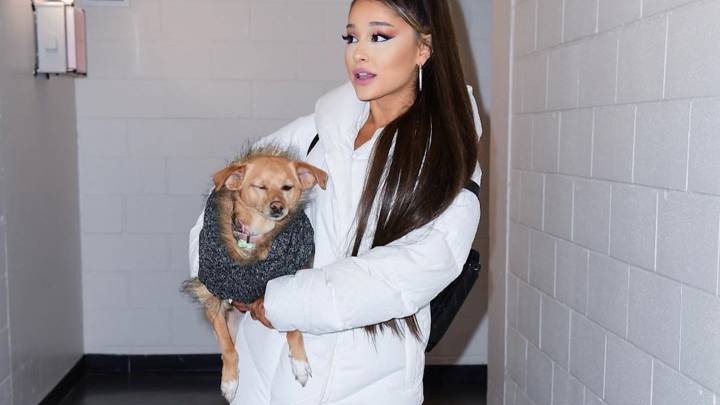 Ariana grande se ve obligada a cancelar un concierto: "Me siento muy enferma"