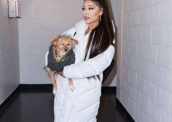 Ariana grande se ve obligada a cancelar un concierto: