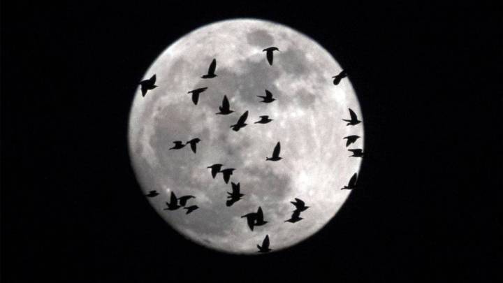 Eclipse lunar 2020: horario, cómo y dónde verlo hoy en España
