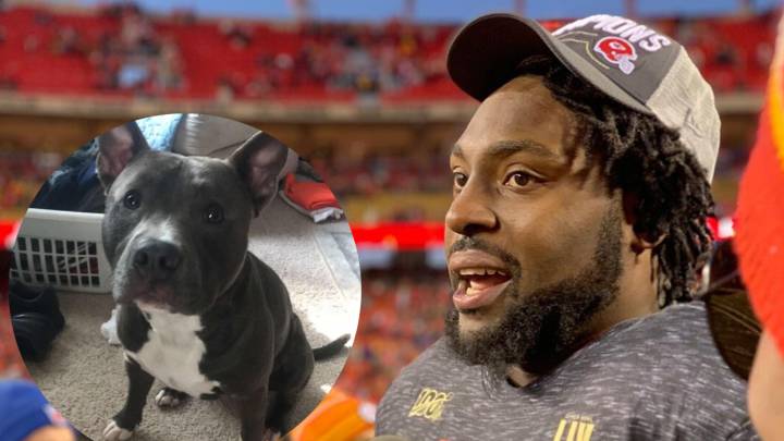 ganador super bowl dona 17.000 dolares adopción mascotas derrick nnadi kansas city chiefs