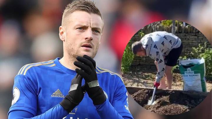 jamie vardy agricultor invernadero vegetales gallinas ginebra leicester city coronavirus covid-19