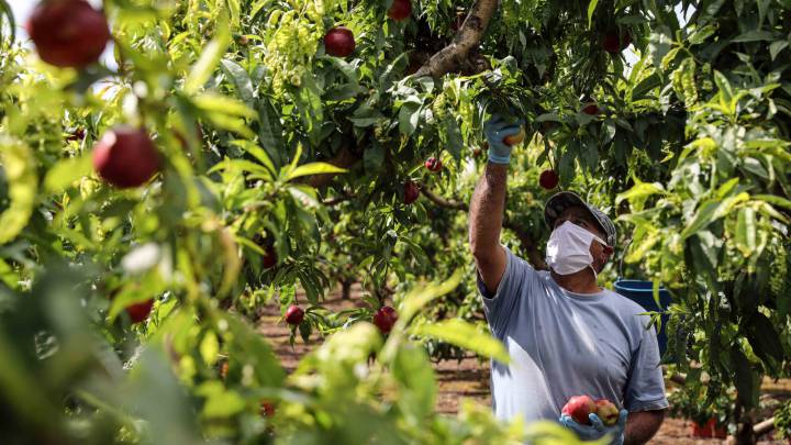 frases para celebrar el día internacional del trabajador 1 de mayo