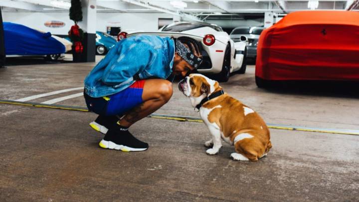 lewis hamilton muerte perro mascota coco redes sociales ataque al corazón muere en sus brazos corazón roto piloto f1 fórmula 1