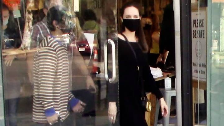 angelina jolie increpada activistas animales tienda peletería hijo maddox brad pitt divorcio 30 testigos custodia hijos