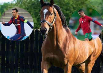 Galileo, el semental que vale más que Cristiano Ronaldo, Leo Messi y Neymar