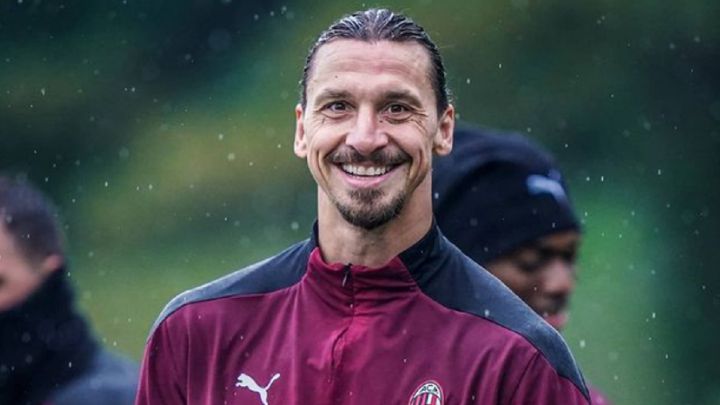 Ibrahimovic compra un bosque de tres millones de euros en Suecia