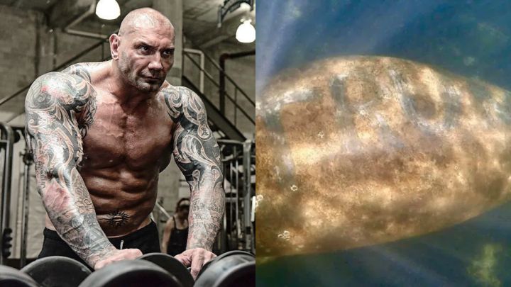Dave Bautista y la recompensa por cazar al hombre que grabó 'Trump' en una vaca marina
