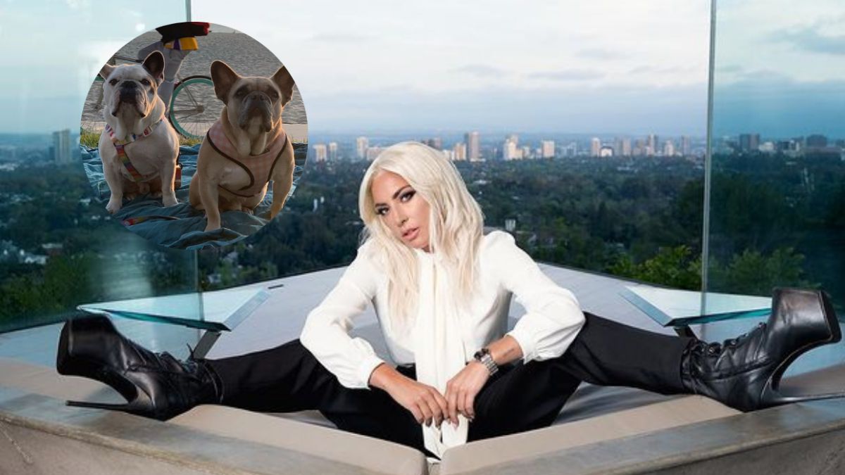 Lady Gaga recupera sus perros robados tras ofrecer 500.000 dólares de recompensa